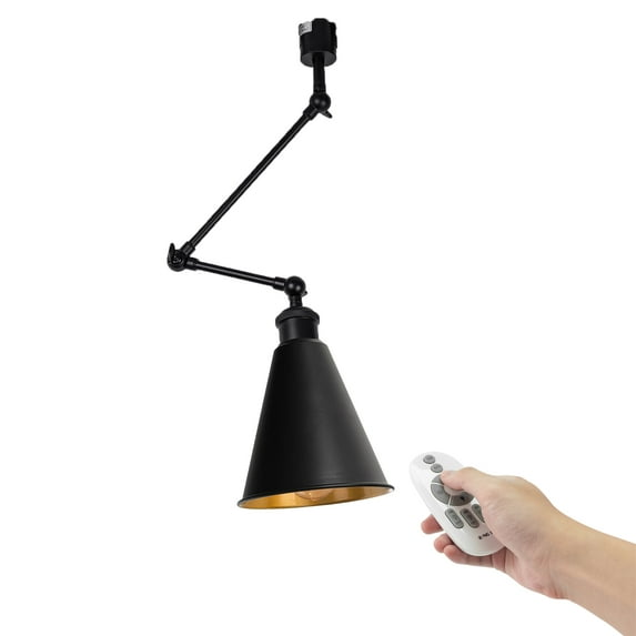 FSLiving Remote Control J-type Ceiling Pendant Light with E26 LED Edison Bulb Black Outside Gold Inside Metal Shade Dimmable&Color Changing&Timer Lamp Adjustable Swing Arm for Kitchen Sink - 1 Pack