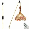 thumbnail image 1 of FSLiving No Wiring Needed Butterfly Swag Pendant Light with Pulley Design, Pink Dome Shape Stained Glass, Walnut Socket 15ft Plug-in Cord, Remote Control LED Bulb Decorative for Hallway Ceiling, 1 of 9