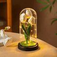 thumbnail image 1 of FTCBJJA Preserved Artificial Tulip Bouquet in Glass Dome with LED Fairy Lights, Glass Rose Artificial Flowers with Eternal Tulips, Home Decor Accent, Romantic Flower for Mom,Women&Wife,Pale Yellow, 1 of 6