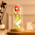 thumbnail image 1 of FTCBJJA Preserved Artificial Tulip in Glass Dome with LED Lights, Handmade Flower Accent Light with Glass, Perfect Gift for Mom,Women&Wife, Romantic Home Decor, Red, 1 of 5