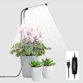 thumbnail image 1 of FTCBJJA Grow Light for Indoor Plants Growing, Full Spectrum Gooseneck Plant Lamp for Seedings Succulents Small Plants, 5 Dimming & 4/8/12H Timer (2 Pack), 1 of 6