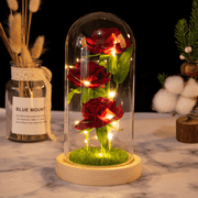 FTCBJJA Preserved Forever Rose Gifts for Women, Warm Light Artificial Flowers with LED in Glass Dome, Romantic Eternal Rose Anniversary Birthday Gift for Mothers Day Valentines Christmas, Red