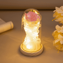 FTCBJJA Preserved Rose Light Gifts in Glass Dome for Mom Wife, Eternal Forever Rose Flower with LED Lights for Her Valentine's Day, Mother's Day, Wedding Anniversary, Christmas Decorations, Pink