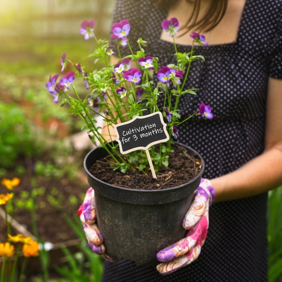 FUEENIRVA 10Pcs Wood Labels for Garden and Table Setting Decor