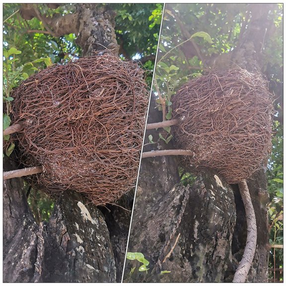 FUEENIRVA 1Pc Ceiling Light Shade Birdhouse Style Coffee Color Hand Woven Rattan for Home Decoration