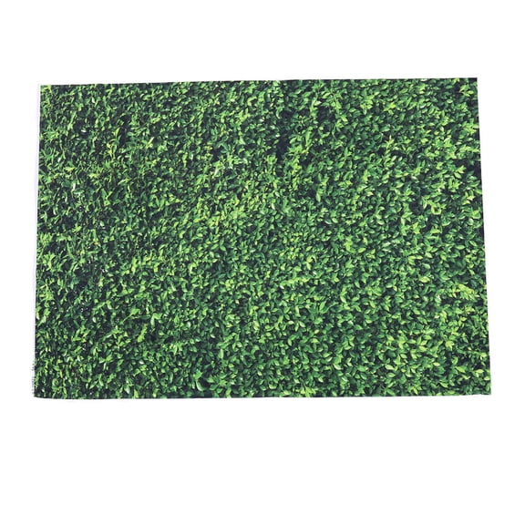 FUEENIRVA Durable Green Background Screen Chic and Practical for Photos 1Pc