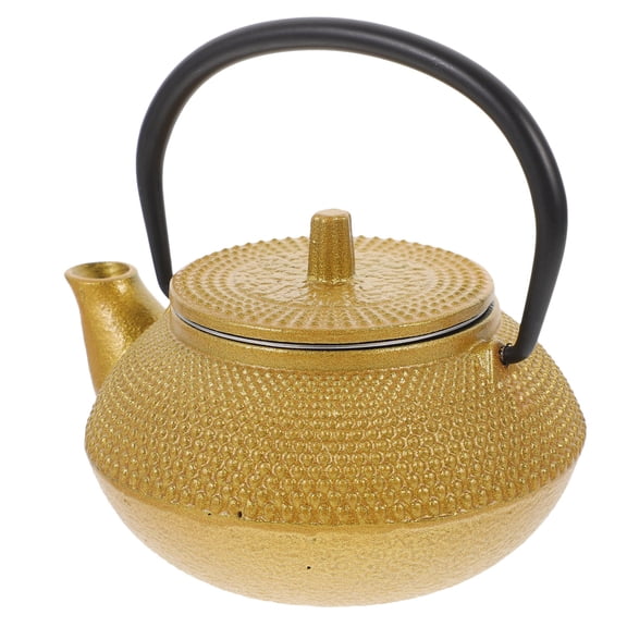 FUEENIRVA Chinese Style Cast Iron Teapot Portable Small Metal Tea Kettle for Tea Making and Travel