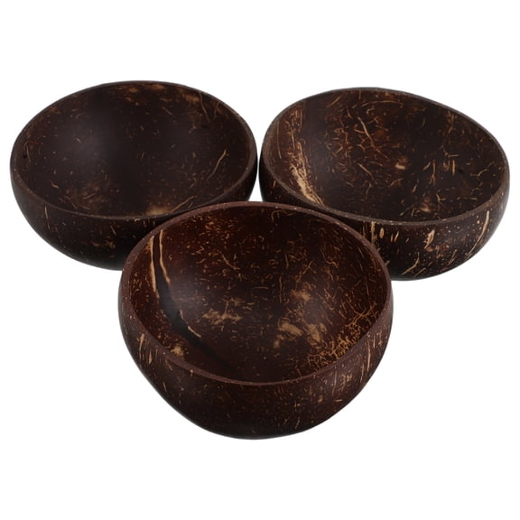FUEENIRVA Set of 3 Handmade Coconut Shell Bowls, Multi-Color Smoothie and Fruit Serving Bowls, and