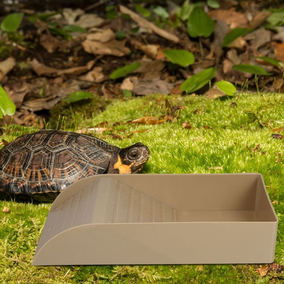 FUEENIRVA Plastic Turtle Bathing Pool, Coffee, Soaking and Basking, Indoor Outdoor