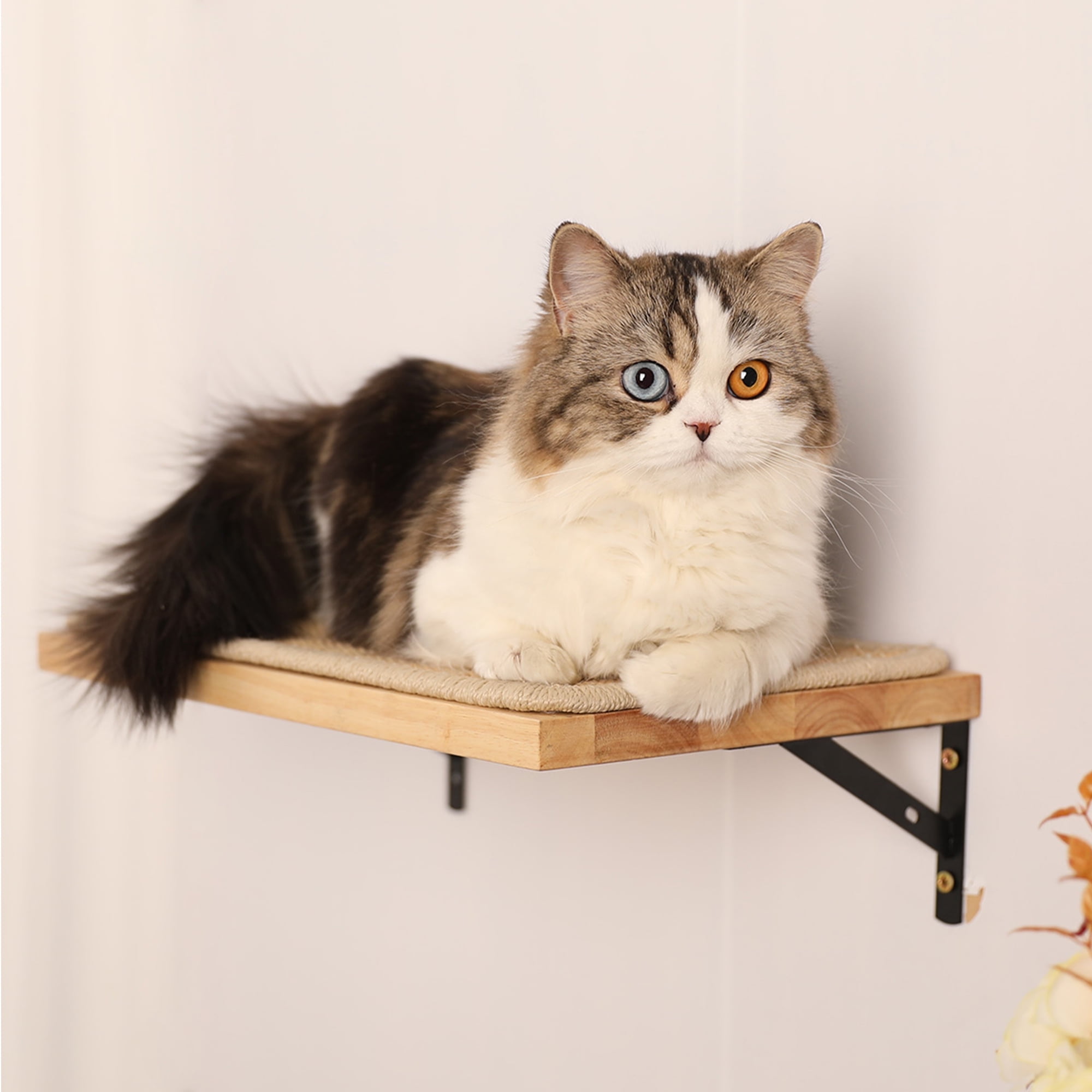 FUKUMARU Cat Wall Shelf with Sisal Mat for indoor cats, Rubberwood
