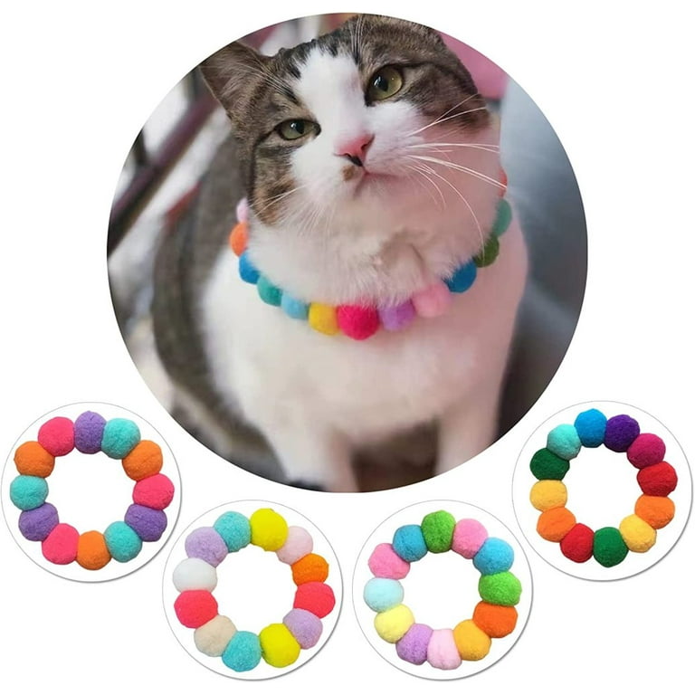 Cat clown collar shop