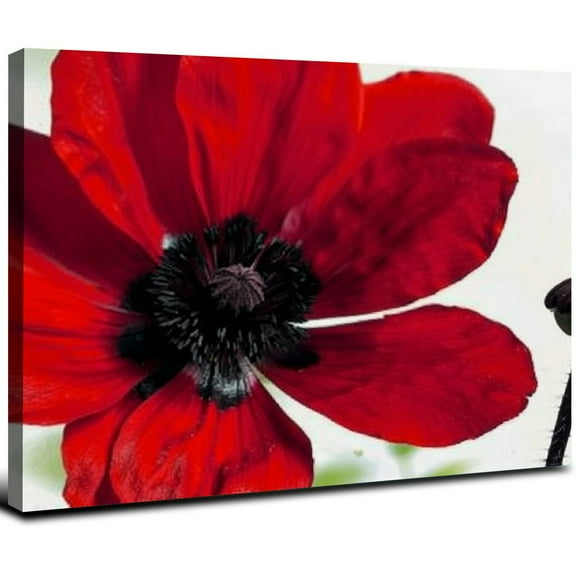 FUMJ -Abstract Red Pictures of Poppy Flowers Prints Canvas Art Wall Decor for Bathroom Black and Red Bedroom Pictures Contemporary Poppy Canvas Decor 20x16inch