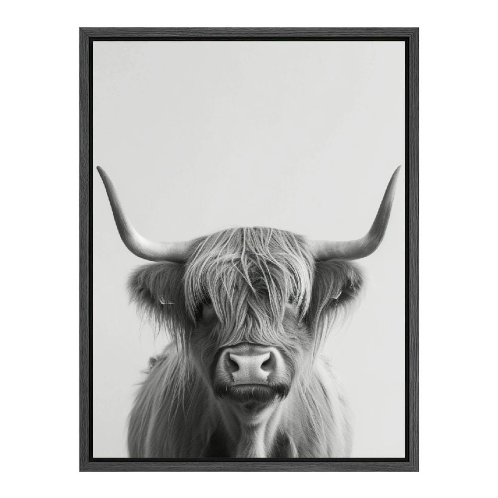 Framed Black and White Highland Cow Canvas Art Print, 16" x 12"