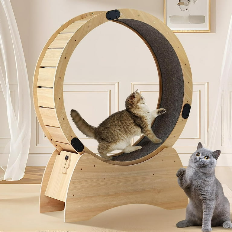 linor 5 in 1 Cat Wheel, Cat Exercise Wheel with 2 Anti-Scratch