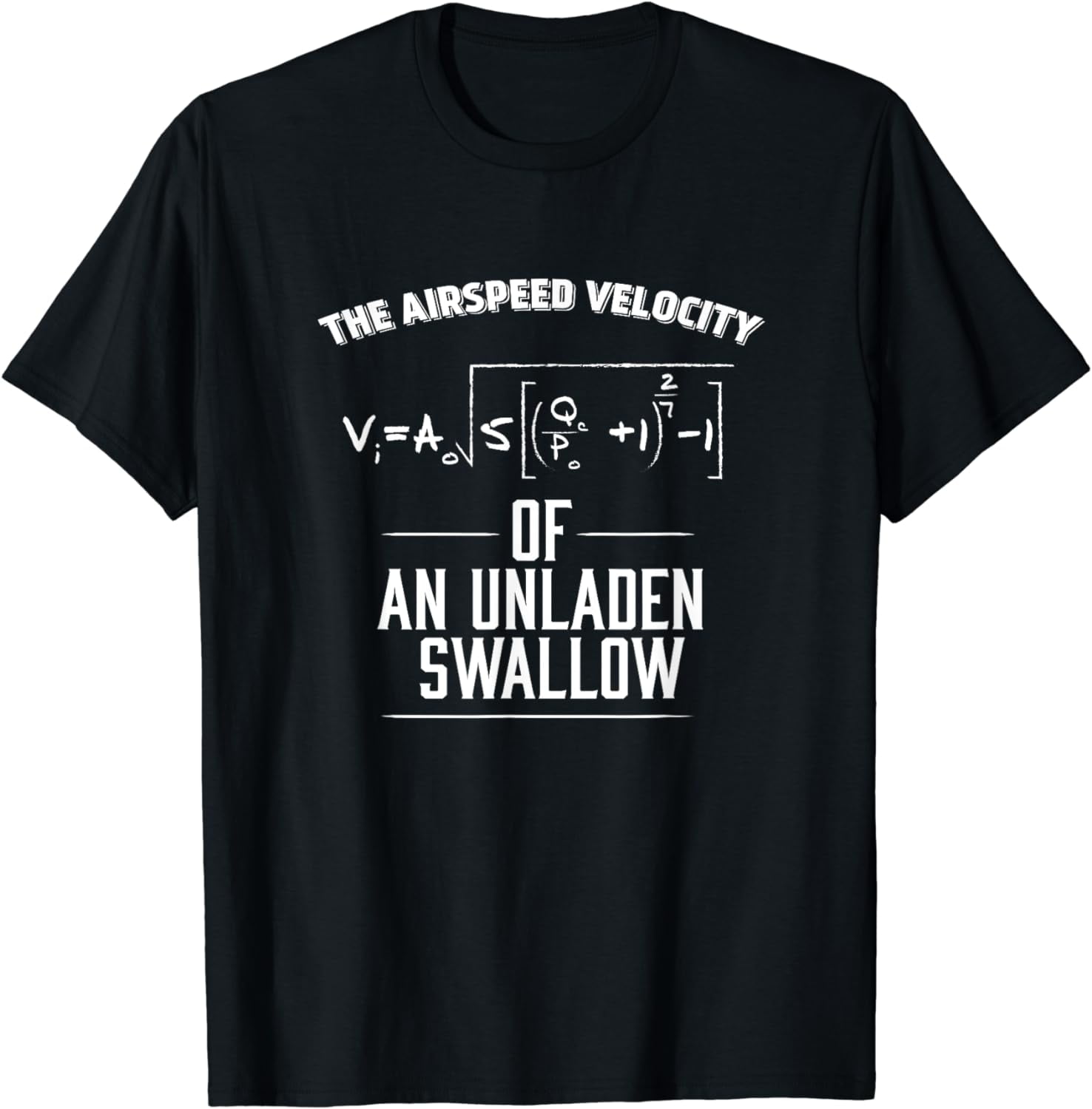 FUNNY AIRSPEED VELOCITY OF AN UNLADEN SWALLOW T-SHIRT Maths T-Shirt