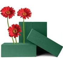 Pack of 4 Wet Floral Foam Bricks, Happon Green Foam Blocks for Flower  Arrangement, Wedding, Party Decoration 