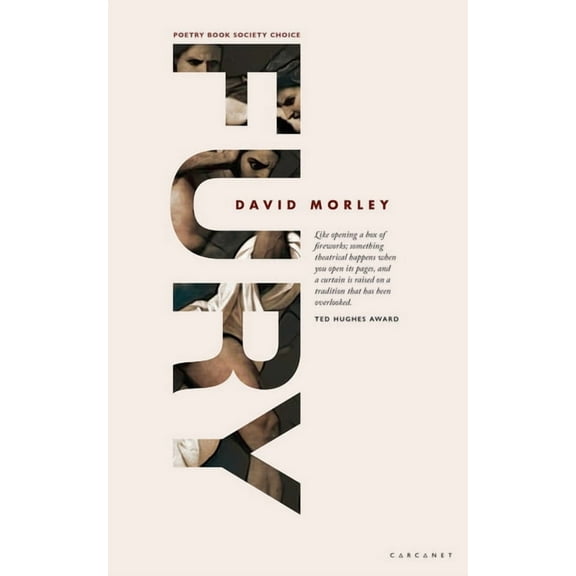Fury, (Paperback)