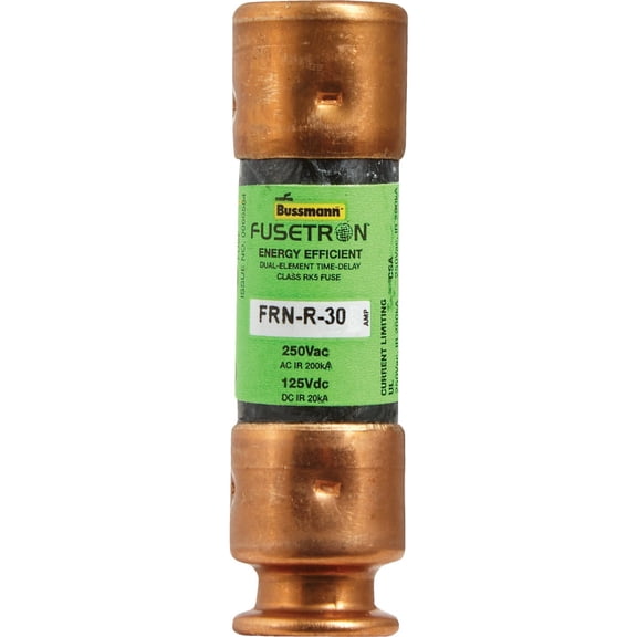 FUSE DUAL ELEMENT 30A