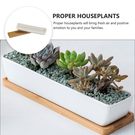 FUTUREORYY 1 Set White Ceramic and Bamboo Rectangular Flowerpot for Desk and Tabletop in Modern Style 28.2X6X4.5CM