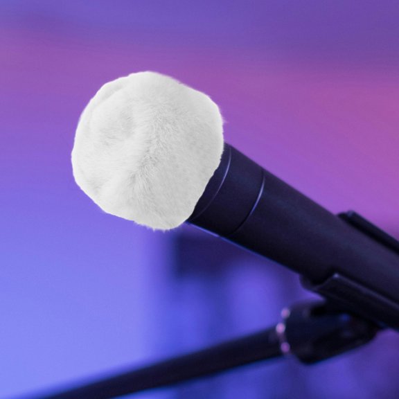 FUTUREORYY 1Pack Isolation Shield Furry Mic Cover for Microphone KTV 6.29X4.72X4.72In