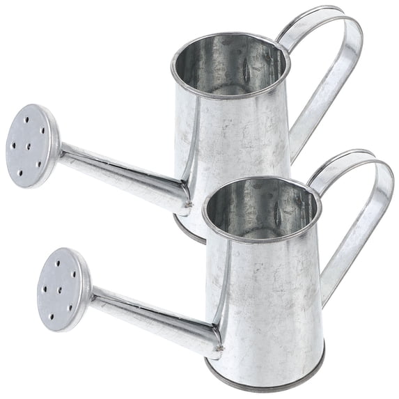 FUTUREORYY 2Pcs Simple Grey Iron Watering Cans for Household Gardening Watering Pot