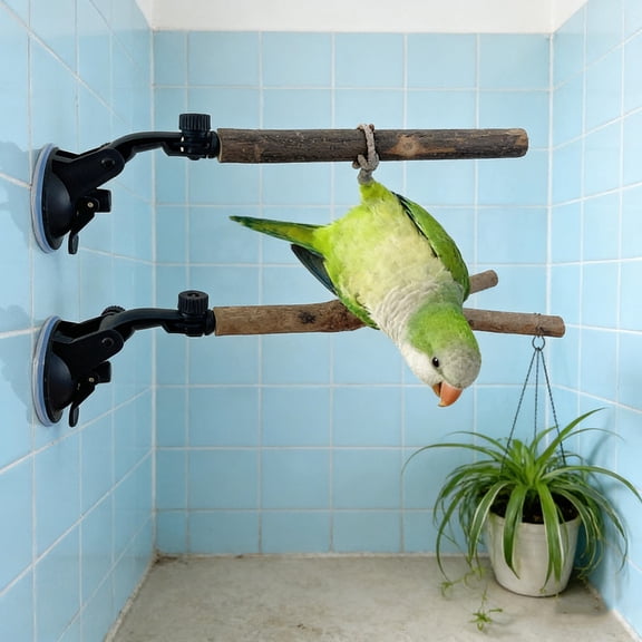 FUTUREORYY 2pcs Bird Perch with Suction Cup Wooden Parrot Stand for Window