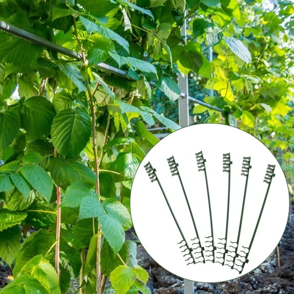 FUTUREORYY 50Pcs Reusable Planting Supplies for Gardening 11Inch