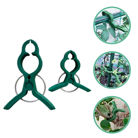 FUTUREORYY 50Pcs Vine Support Stem Clips PE Green Simple Design Attach to Cages Gardening Tools