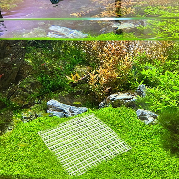FUTUREORYY 8Pcs Fish Tank Bottom Filter Plate Plastic Grid Aquarium Divider for Impurity Separation