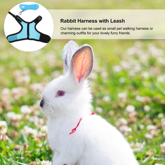 FUTUREORYY Assorted Color Bunny Harness Leash Soft Breathable Mesh for Small Pets Outdoor Use