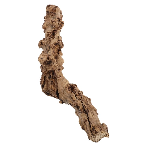 FUTUREORYY Terrarium Habitat Driftwood, Light Brown, Ideal for Reptile Enclosure Decor
