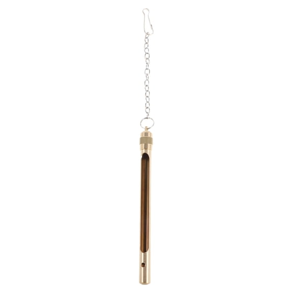 FUTUREORYY Golden Brass Thermometer Protective Case with Smooth Rounded Edges for Glass Thermometer Shield