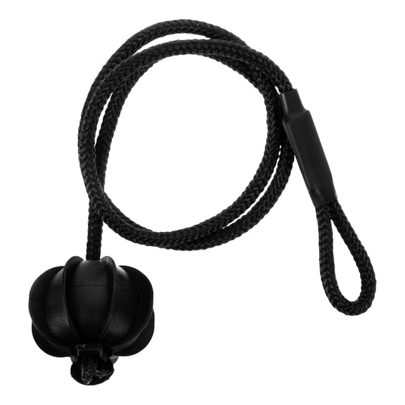 FUTUREORYY Trunk Tie Strap Rear Trunk Tie Strap with Ball Black Plastic 1Pack