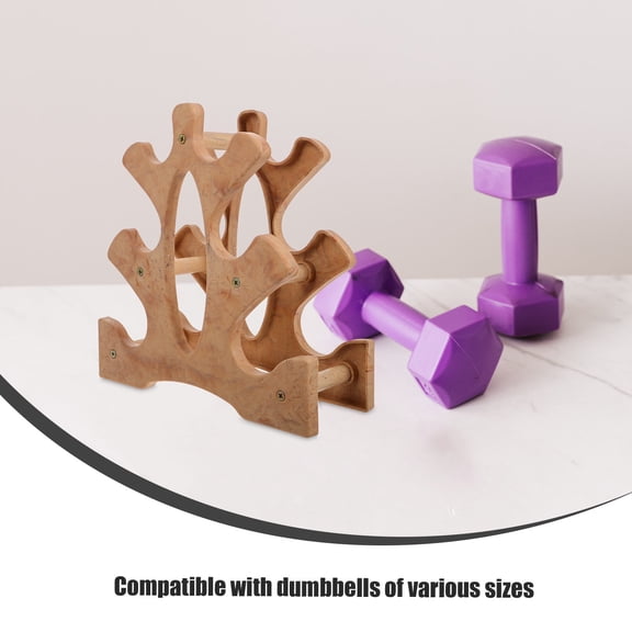 FUTUREORYY Weight Rack for Home Gym PP Material 1Pack with Three Tier Structure for Dumbbells Storage