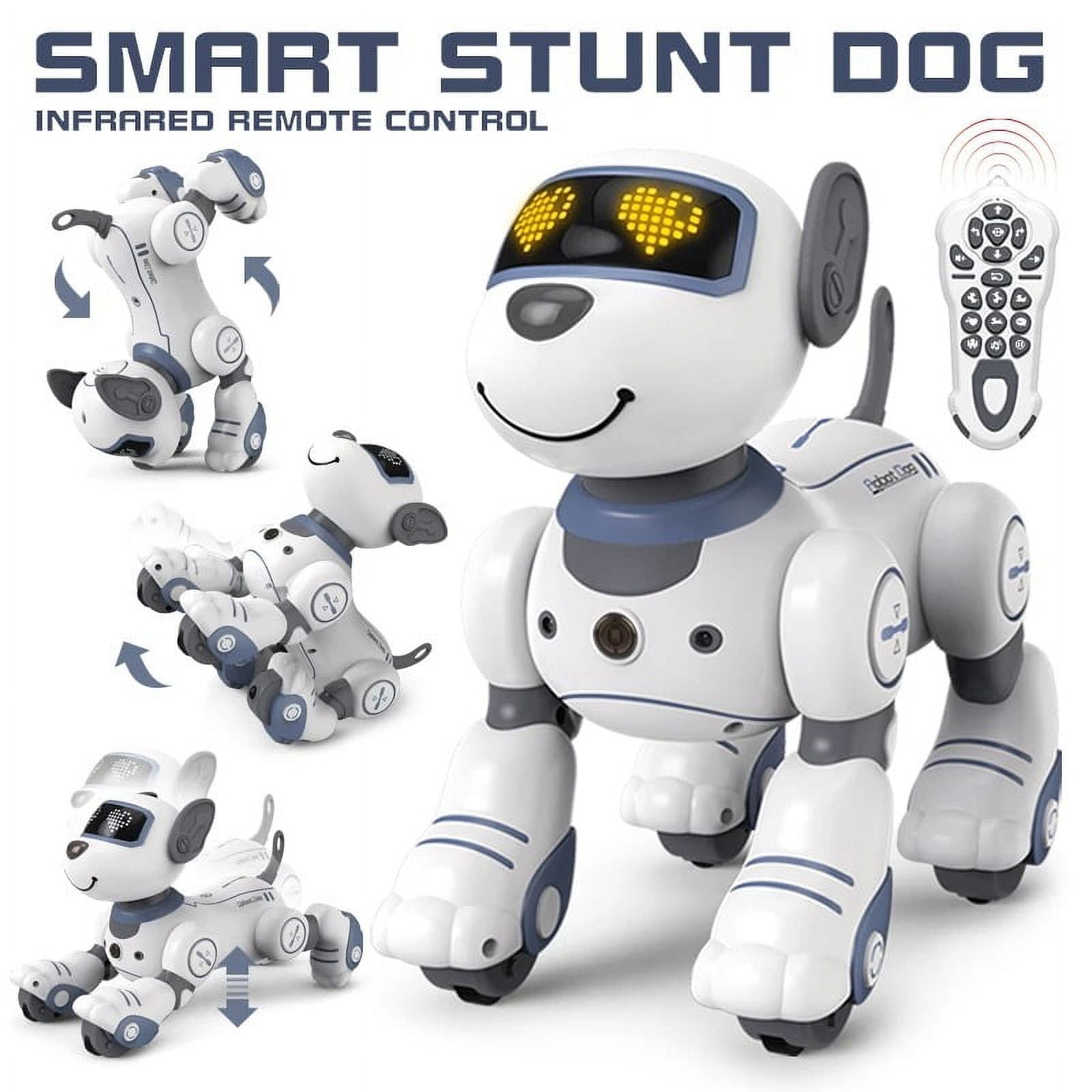 FUUY Robot Dog, Remote Control Dog Robot for Kids with Head Touch Sensing Function and Voice
