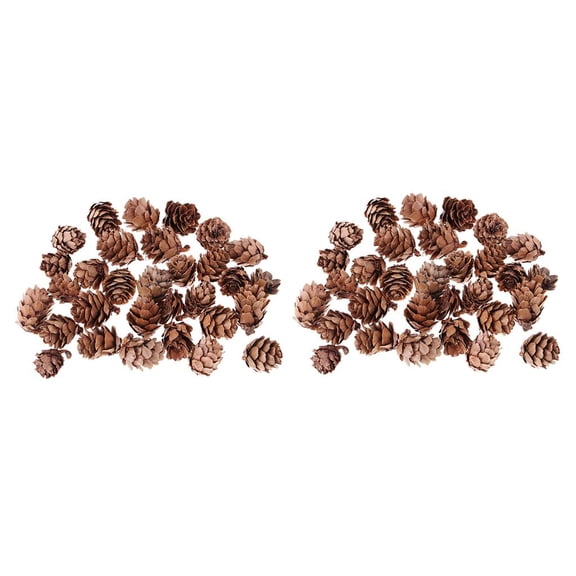FVDPWYE 60pcs Pine Cones Rustic Premium Pinecones Home Wedding Embellishments Decors
