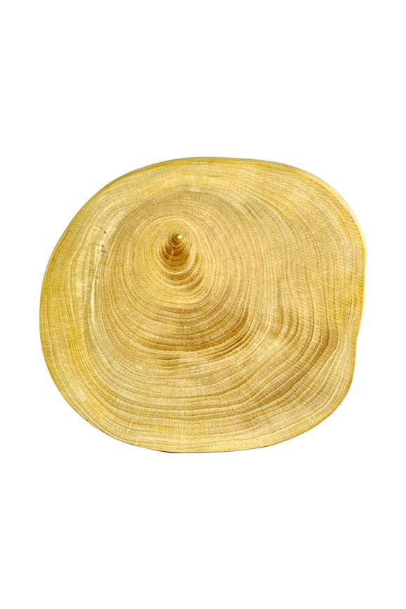 Boxwood Watch Repair Pad Movement Holder Anti-slip Watch Hand System Repair Pad 86.6MM