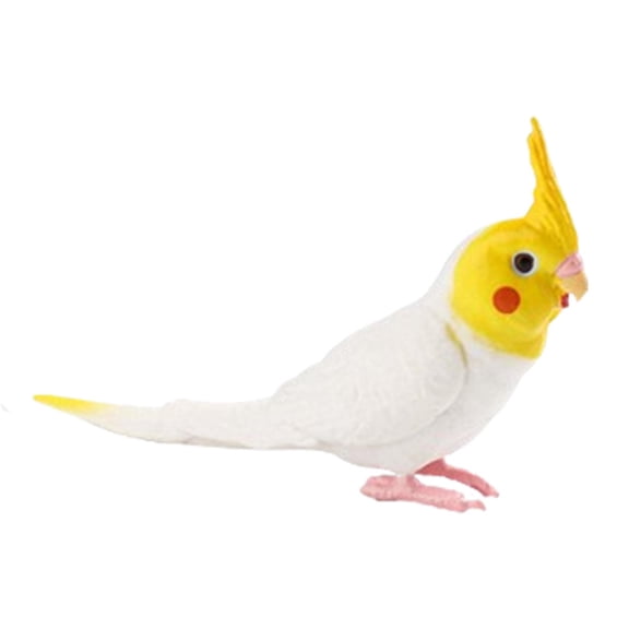 FVDPWYE Cockatiel Bird Figurines Early Education Miniature Parrot for Cake Toppers Photo white