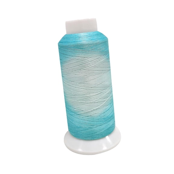 FVDPWYE Color Changing Thread, Embroidery, Sewing Thread, Supplies Polyester for Blanket Green