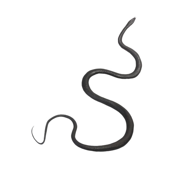 FVDPWYE Fake Snake Toy Party Favor Trick Toy Practical Jokes Prop Snake Figure Halloween Black