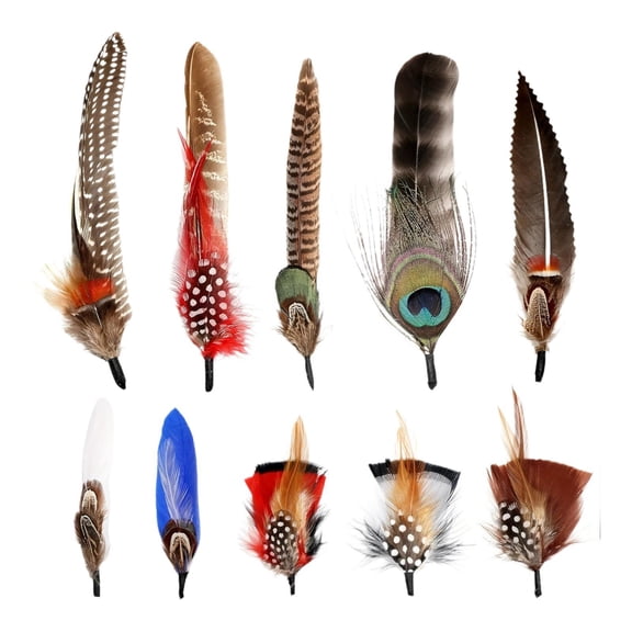 FVDPWYE Hat Feathers Colorful Assorted Feathers Cowboy Hats Feathers Crafts Feathers for Style A