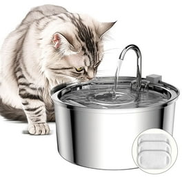 Cat water bowl walmart store