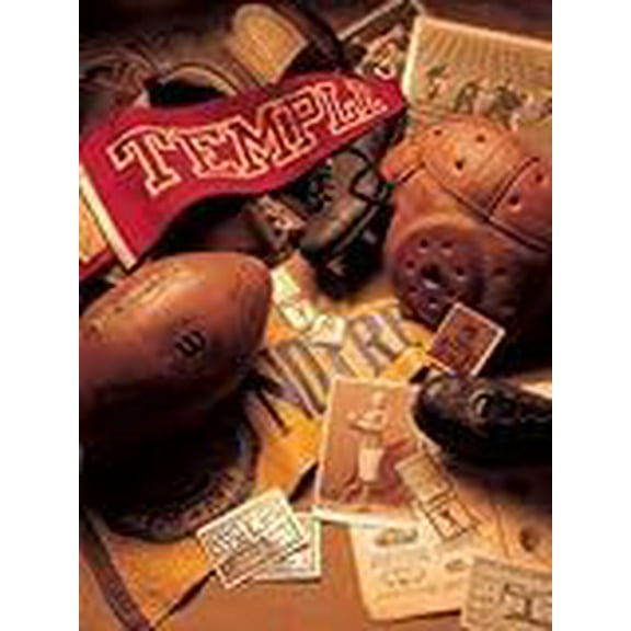 FX Schmidt Football Memorabilia 500 Piece Jigsaw Puzzle