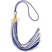 FXMLRLK 2026 Tassel Graduation, Tassels for Graduation Cap 2026, Tassel Cap Decorations with Gold Charms Memorial Cords Graduate Hat Ceremonies Accessories for Class Grad Souvenir Gifts, Blue&White