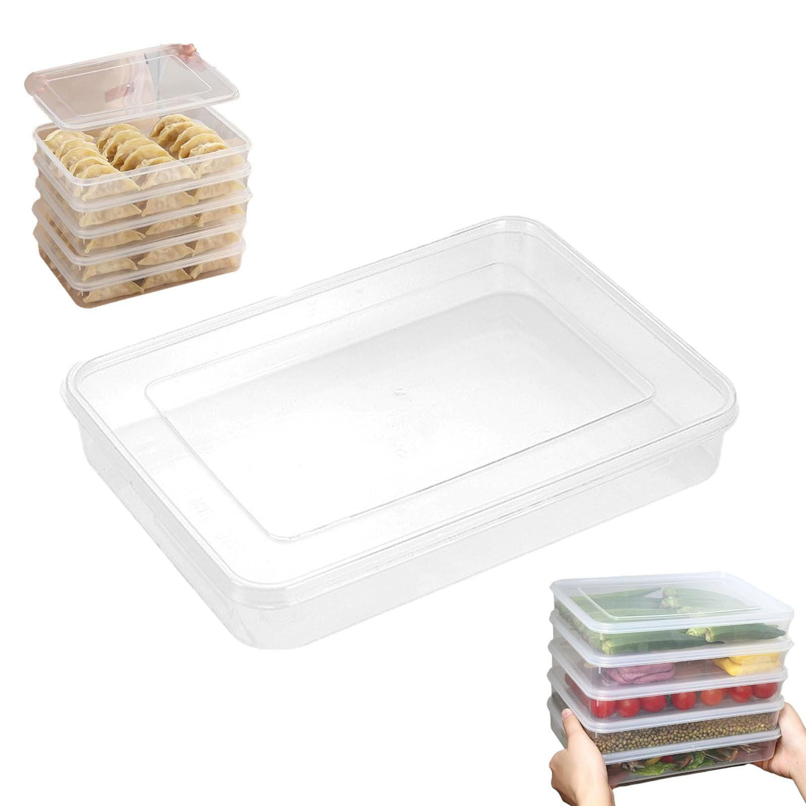 FXMLRLK Clear Dumpling Box Containers for Fridge Large Plastic ...