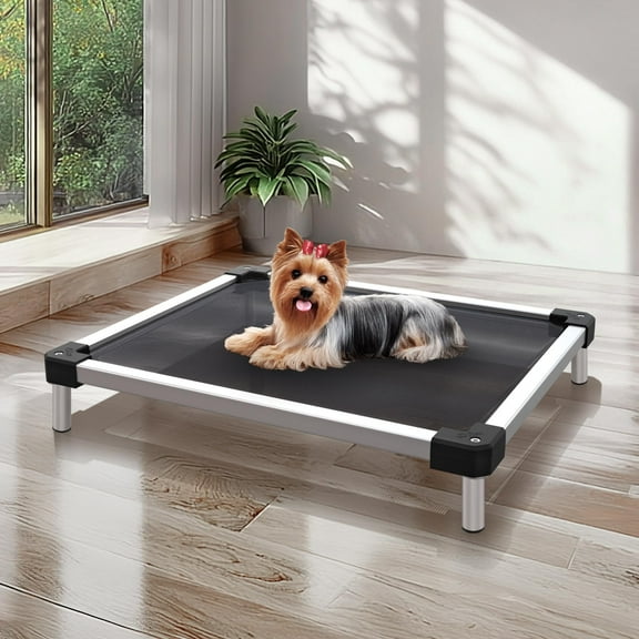 FXW TitanNest Chew-Proof Elevated Dog Bed, Raised Cot for Indoor/Outdoor/Camping Use, Durable & Waterproof Cooling Pet Bed for Toy Dogs, 24.0"L x 20.0"W x 4.1"H, Black