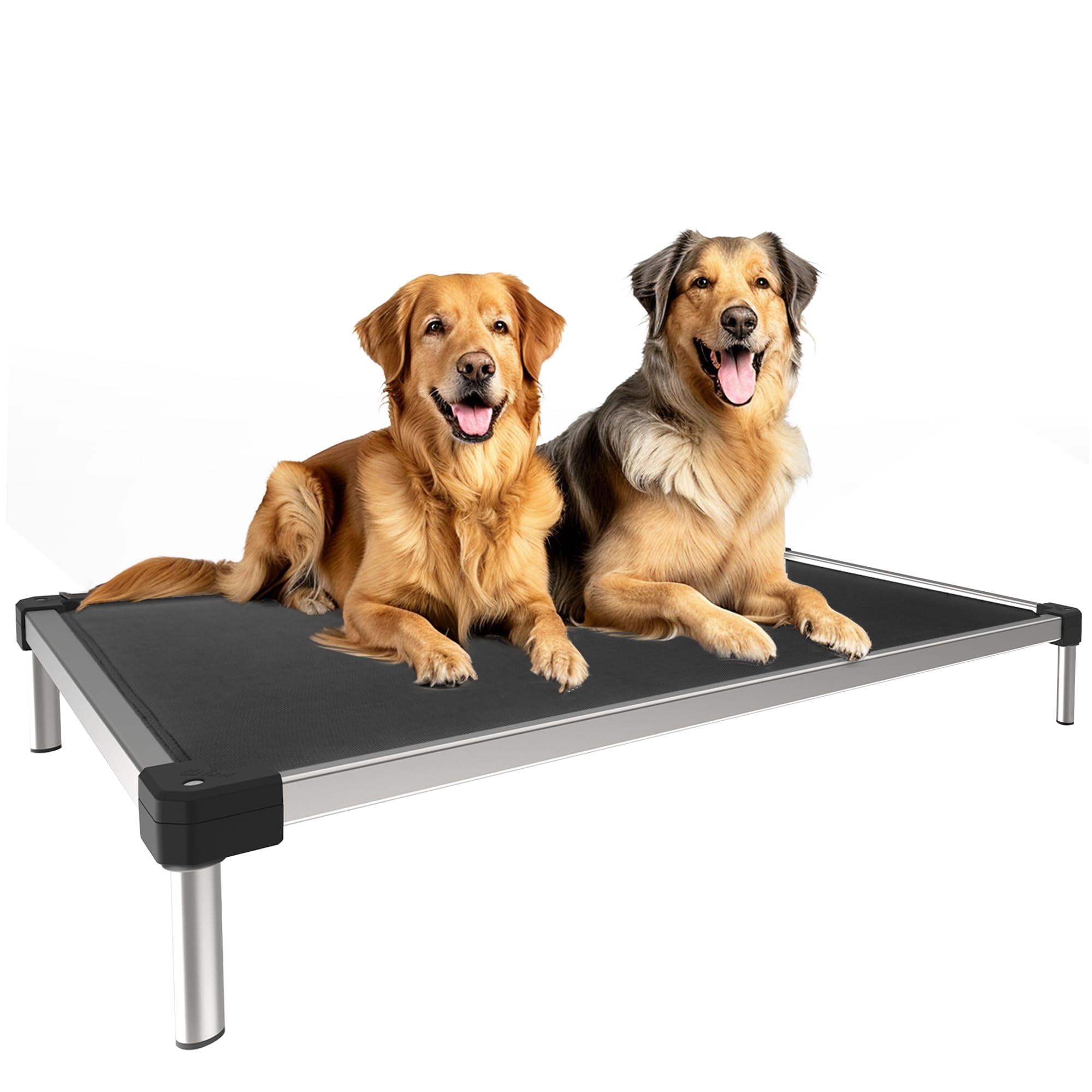 FXW TitanNest Chew-Proof Elevated Dog Bed, Raised Cot for Indoor/Outdoor/Camping Use, Durable & Waterproof Cooling Pet Bed for Extra Large Dogs, 56.0"L x 31.0"W x 7.3"H, Black
