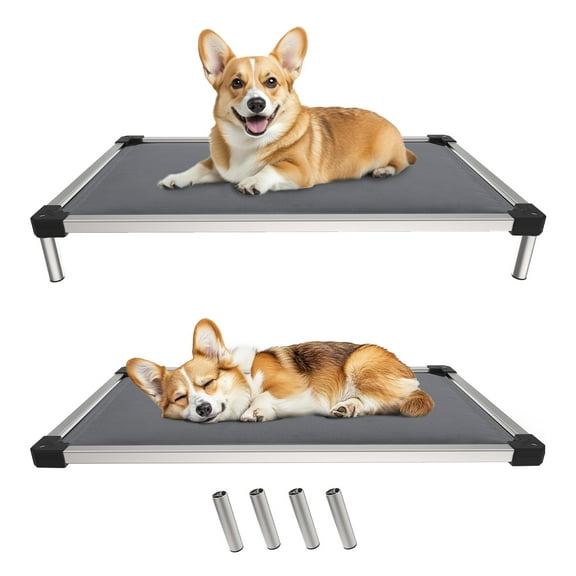 FXW TitanNest Chew-Proof Elevated Dog Bed, Raised Cot for Indoor/Outdoor/Camping Use, Durable & Washable Padded Pet Bed for Medium Dogs, 42.0" L x 27.0" W x 5.0" H, Gray