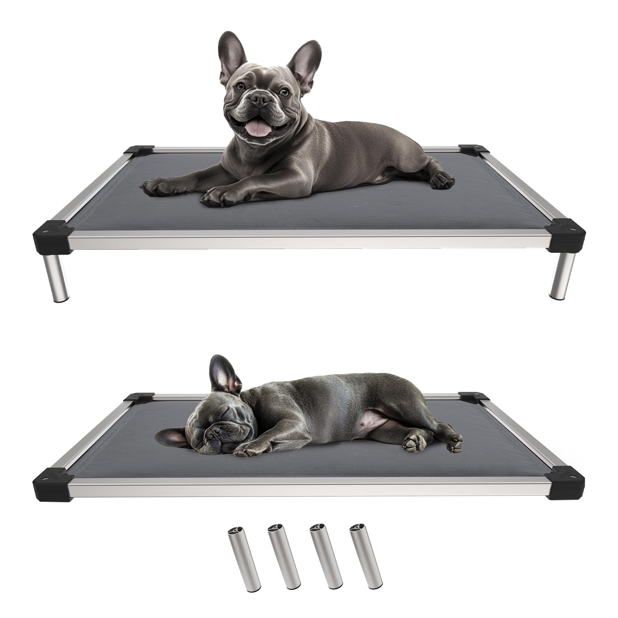 FXW TitanNest Chew-Proof Elevated Dog Bed, Raised Cot for Indoor/Outdoor/Camping Use, Durable & Washable Padded Pet Bed for Extra-Small Dogs, 30.0" L x 22.0" W x 4.5" H, Gray