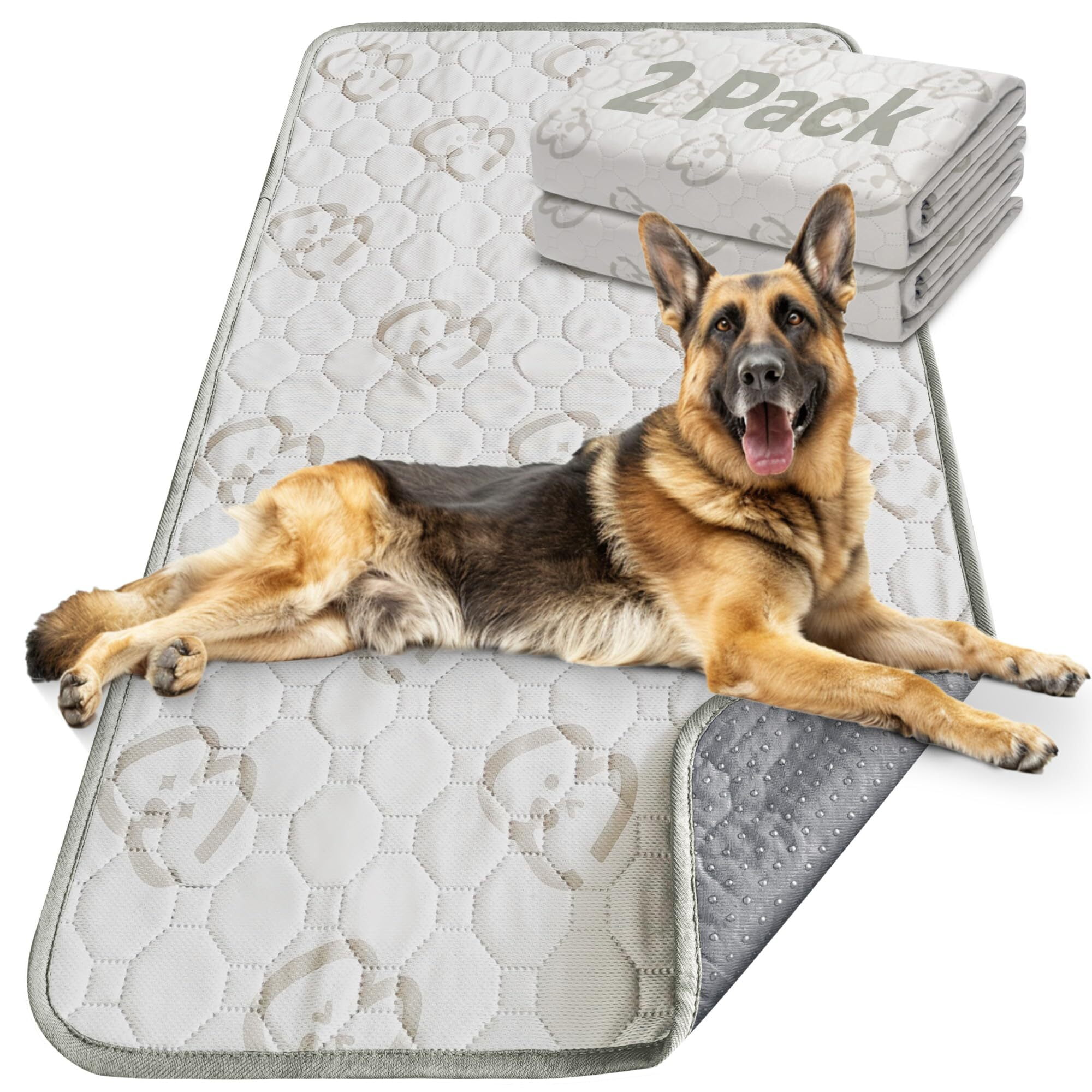 Fresh Look at Fxw Washable Pee Pads For Dogs Super Absorbent Puppy Pads